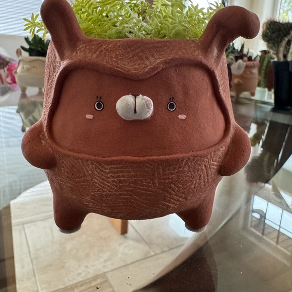 Cute handmade terracotta 🐰 planter with drainage hole. Cactus and succulent pot - Picture 9 of 15